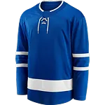 Blauw ijshockeyshirt met witte strepen en veterkraag.