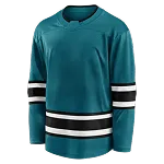 Petrolgroen ijshockeyshirt met zwarte en witte strepen op de mouwen en onderkant